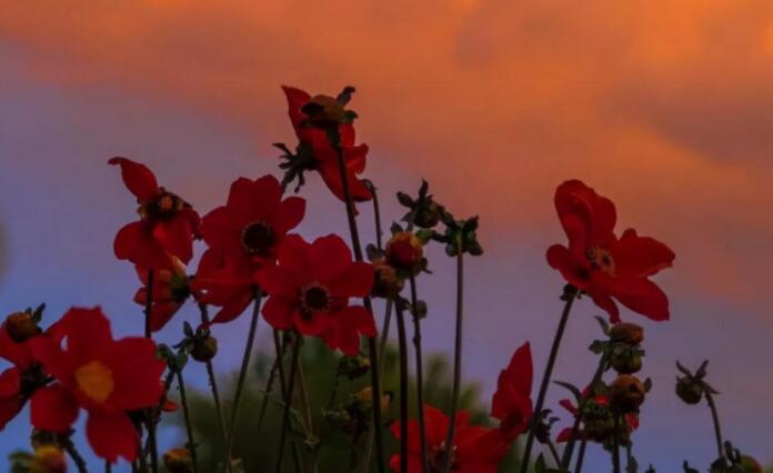 形容男孩子阳光的句子文案