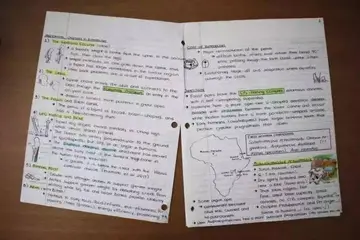 二年级阅读摘抄50字