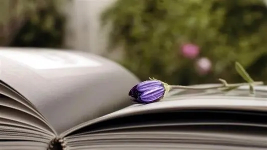 触碰心灵的话优美