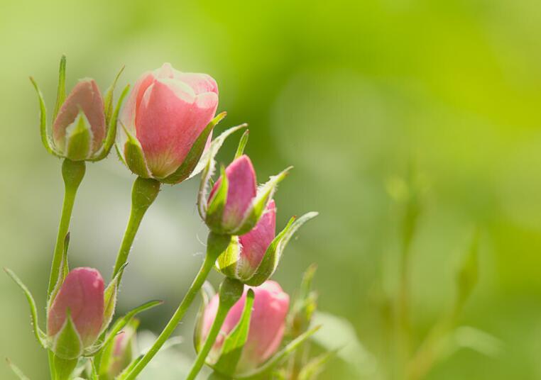 知心朋友问候语