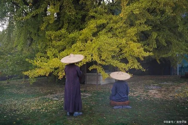 表示一个人气量小的句子文案