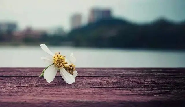 幽默早安问候语