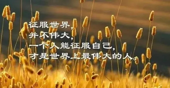 鼓励自己新的一天开始的句子文案