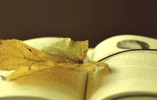 描写内心迷茫的段落