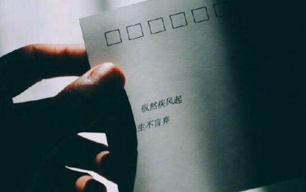 关于陪伴的经典语录文案