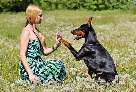 朋友圈心情低落段子文案