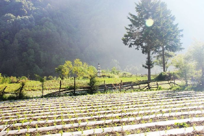 描写乡村的句子文案