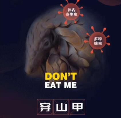 拒绝野味句子文案