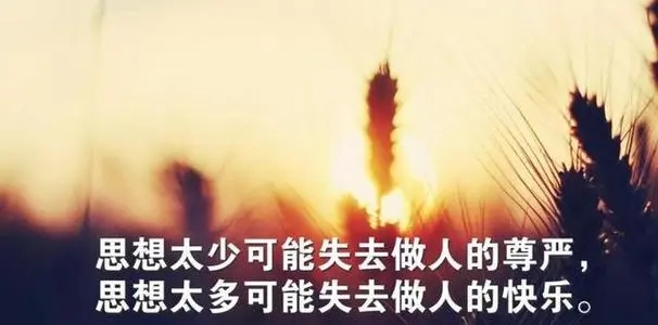 女人阳光自信的句子文案正能量