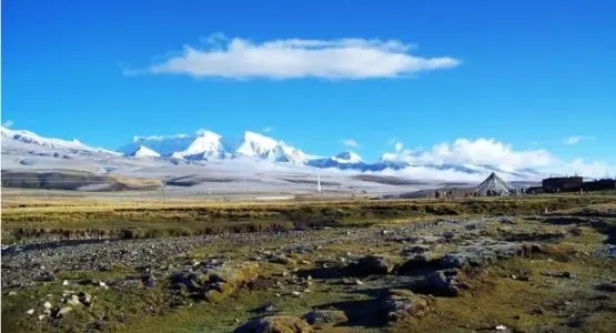 抖音网红句子文案2024