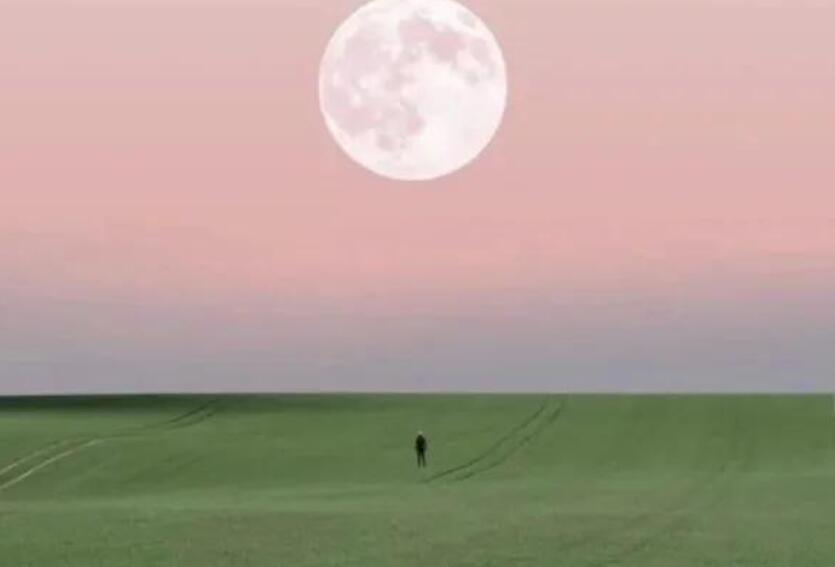 惹女人生气了道歉最管用的话