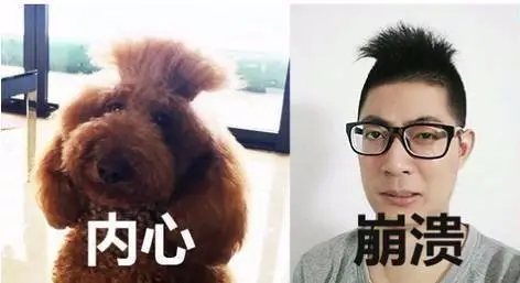 剪了头发太难看的幽默说说文案