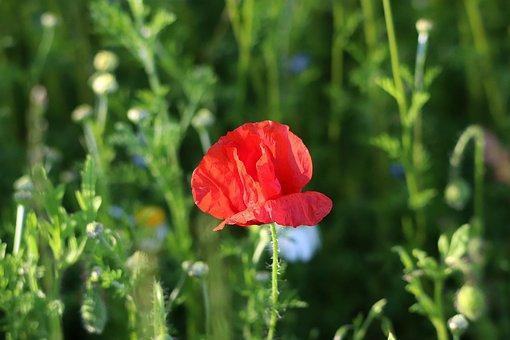 人生励志的句子文案简短