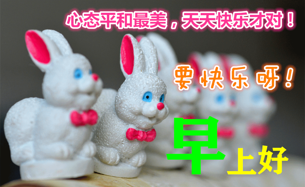 微信早上好图片动态的