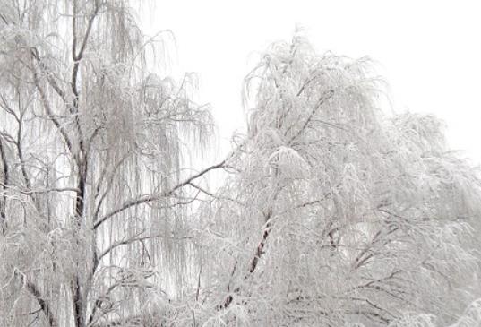 冬至语录文案发朋友圈发短句