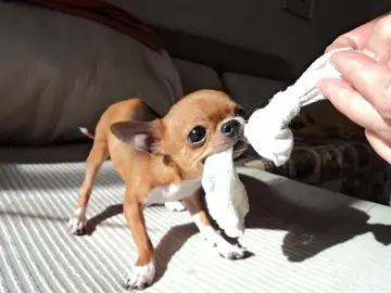 表示自己很惨的句子文案