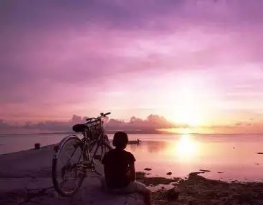 献给没良心的人一句话