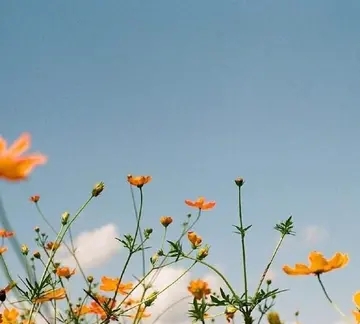 唯美优雅正能量句子文案