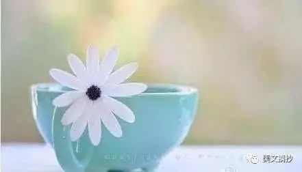 处朋友的经典语录文案