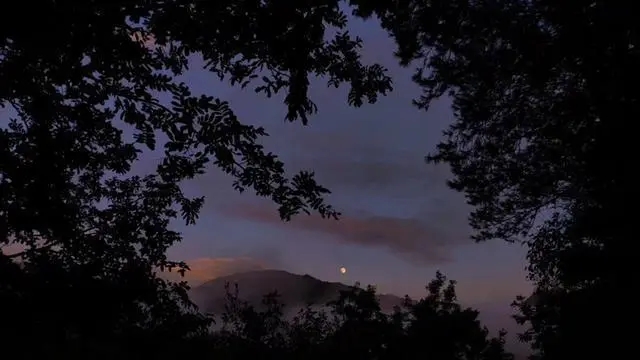 暗示想谈恋爱的句子文案简短