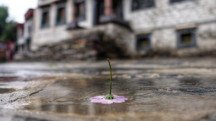 伤感语句最现实的句子文案生活