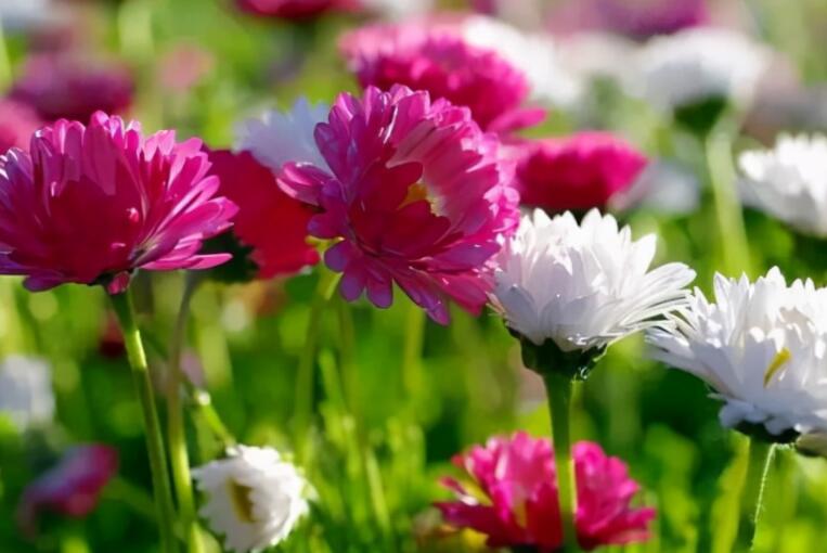 感情受伤的句子文案说说心情