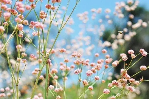 鼓励心情好的句子文案