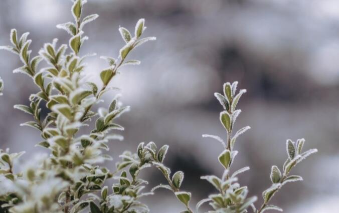 寒冬的句子文案短句唯美