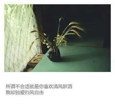 雪景情话文案经典短句