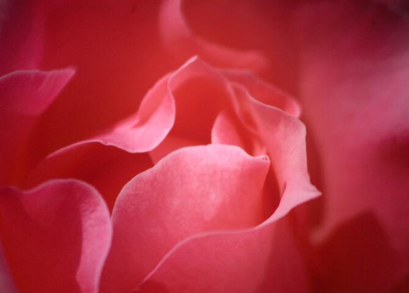 表达夫妻感情的古诗词