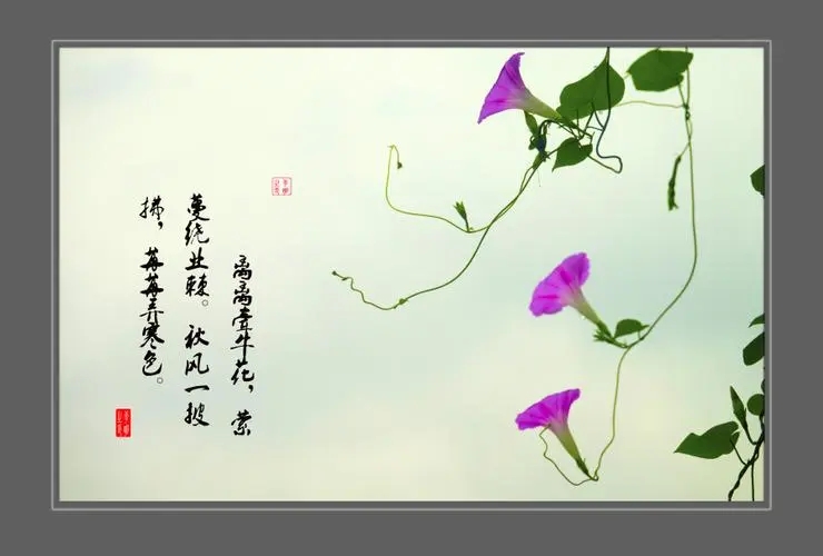 有关花的诗句文案