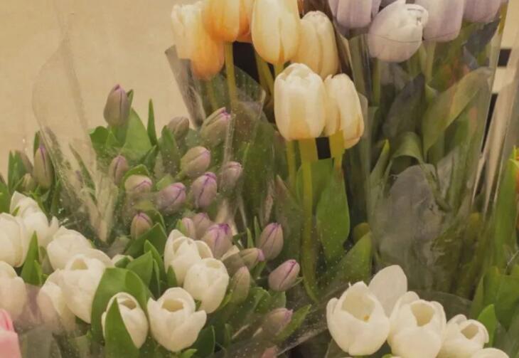 表白女生的短句子文案