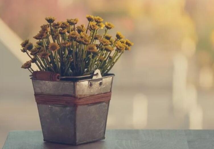 简单的小幸福美句