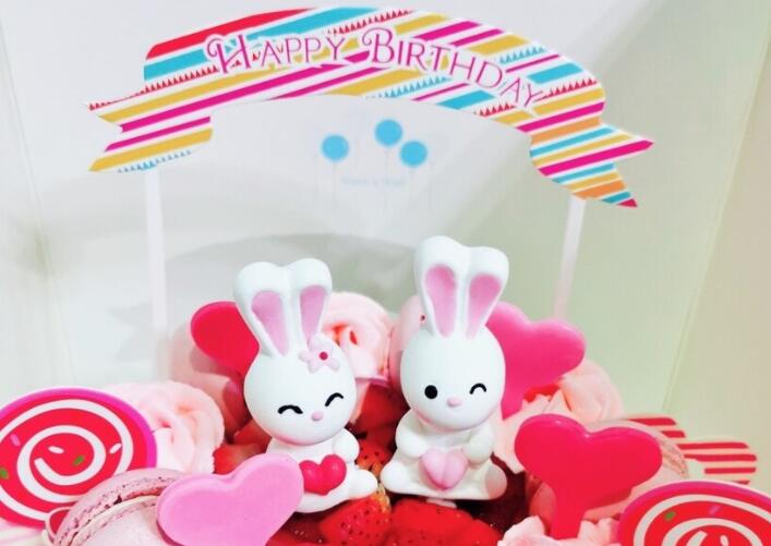 给姐姐的生日祝福语