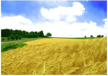 表达踏实能干的句子文案