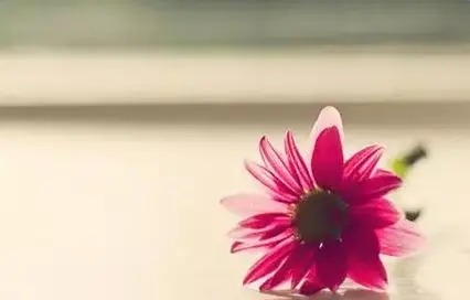 关于人生经验的句子文案