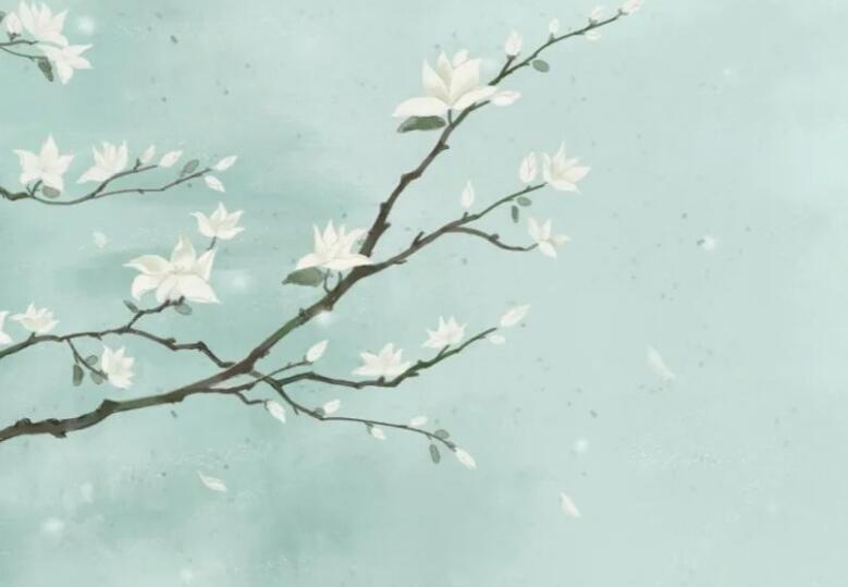 唐宋诗词大全300首