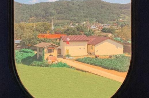 跟花有关的表白的句子文案