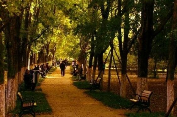 摘抄写景的句子文案