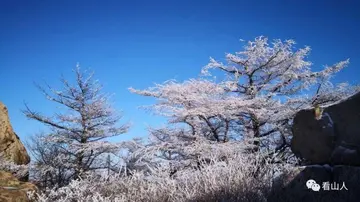 描绘山海的好句子文案