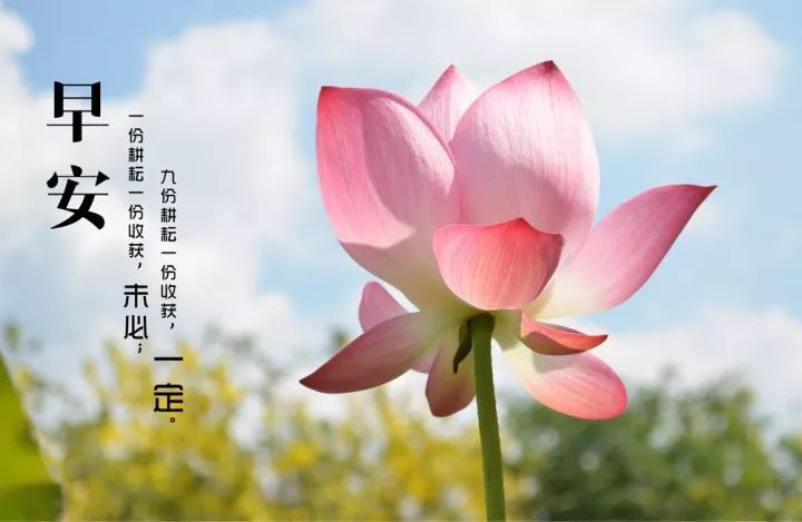 星期一优美早安心语