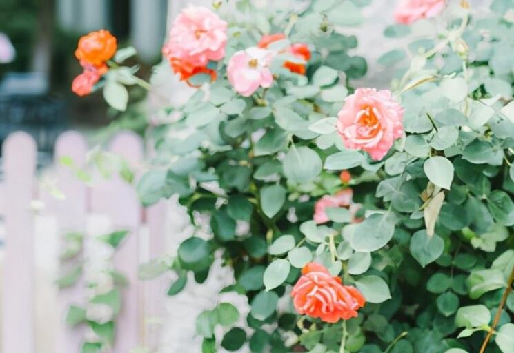 祝你一路顺风句句子文案