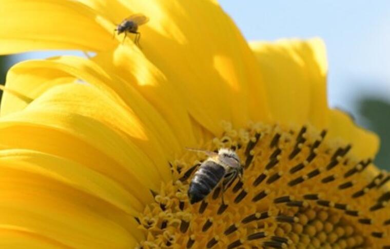 关于情商的145经典语录文案