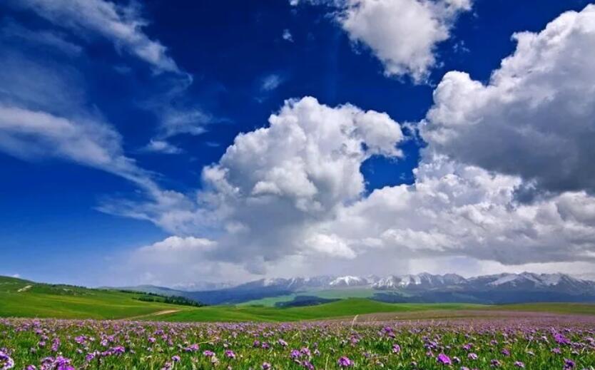 万能套用的名言尼采