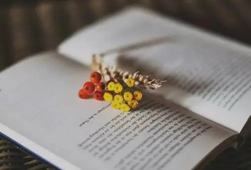 做事不要冲动的句子文案