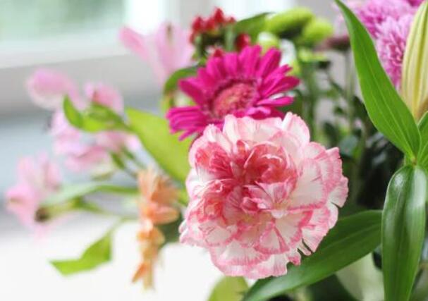 母爱的诗句文案古诗十首