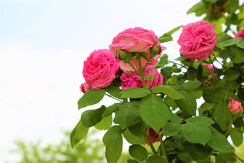 关于懂你的唯美句子文案