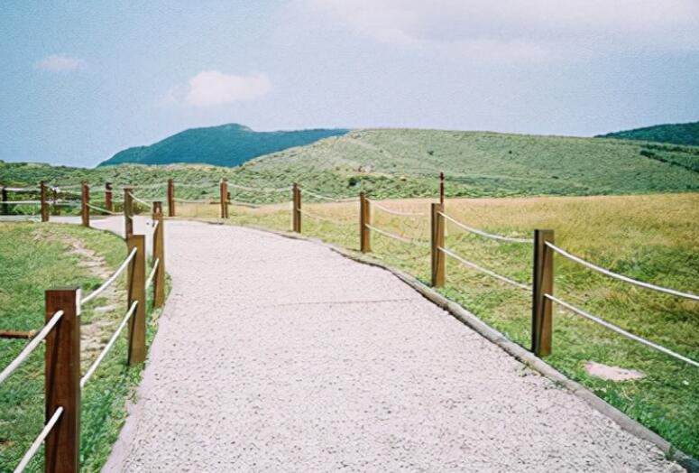 励志高情商句子文案