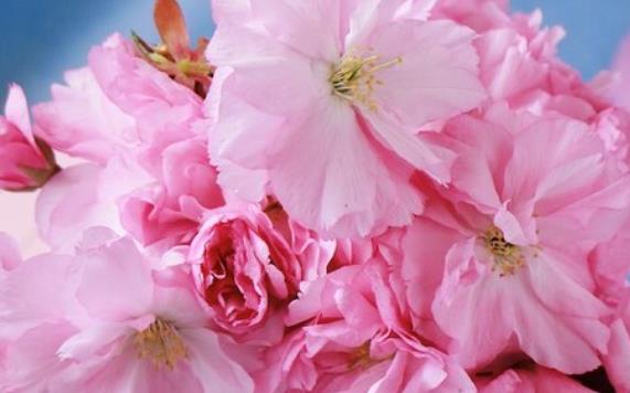 描写春节的句子文案唯美