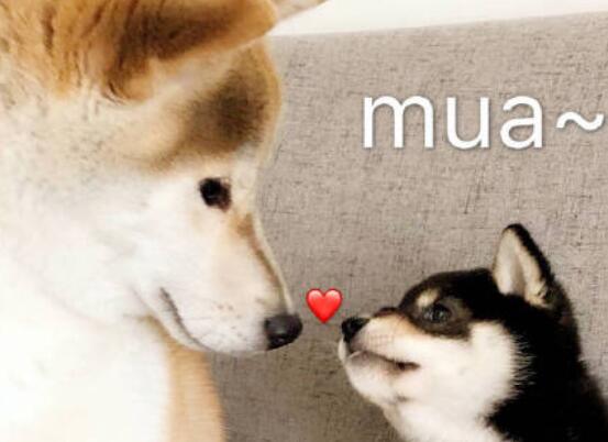 关于38放假文案